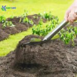 Kanoyard Stainless Steel Pointed Garden Shovel - Image 3